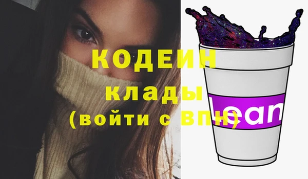 молекула духа Осташков