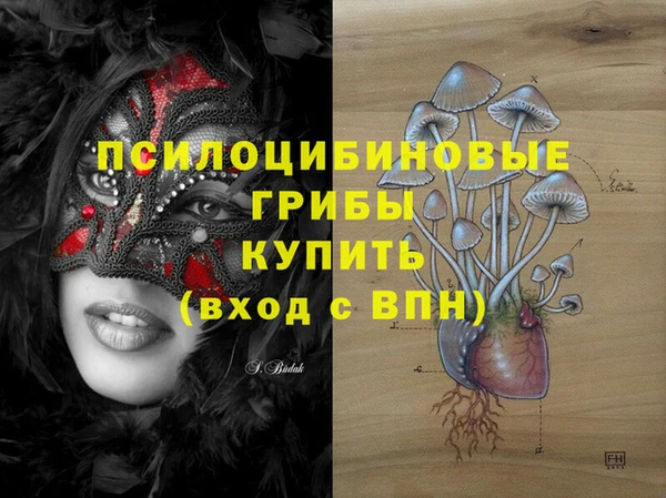 молекула духа Осташков