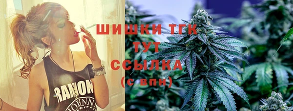 молекула духа Осташков