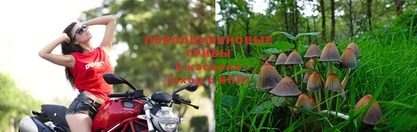 MESCALINE Пересвет