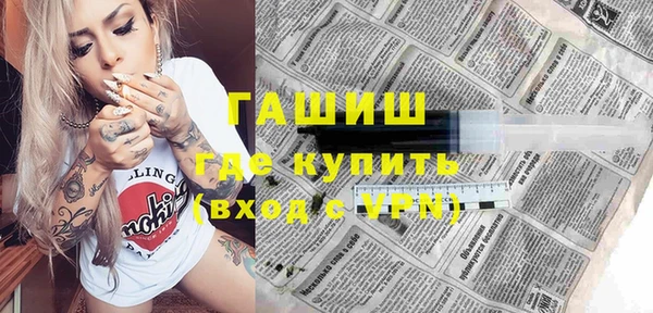 молекула духа Осташков