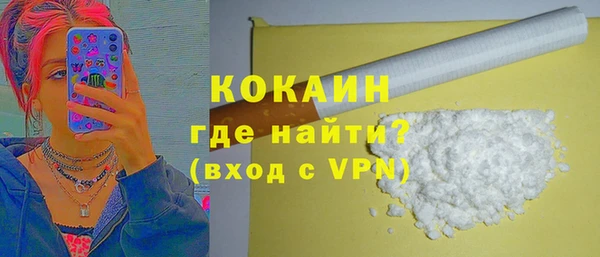 молекула духа Осташков